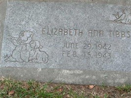 Elizabeth Ann Tibbs Elizabeth Ann Tibbs
