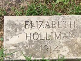 Elizabeth Ann Williams Holliman