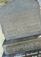 Elizabeth Anna Stewart Stewart