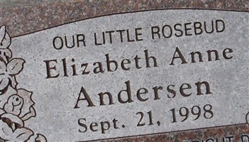 Elizabeth Anne Andersen Elizabeth Anne Andersen