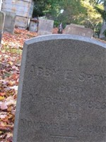Abby Elizabeth Arnold [Weeden] Spence