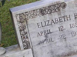 Elizabeth B Driskell