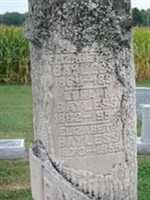 Elizabeth Bayless Elizabeth Bayless