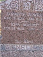 Elizabeth Benedict