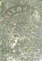 Elizabeth (Betsy) McClintock Marker