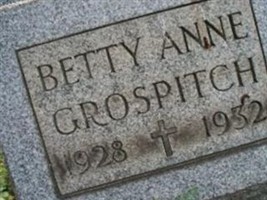 Elizabeth A "Betty Anne" Grospitch Elizabeth A "Betty Anne" Grospitch