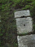 Elizabeth Bingham