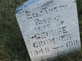 Elizabeth Bishop Crowner Elizabeth Bishop Crowner