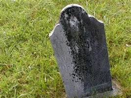 Elizabeth Bowlin