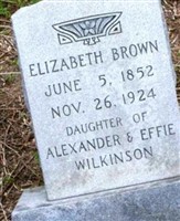 Elizabeth Brown Wilkinson