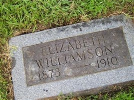 Elizabeth Bryan Williamson Elizabeth Bryan Williamson