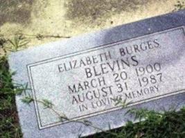 Elizabeth Burges Blevins