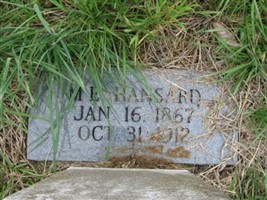 Mary Elizabeth Butcher Hansard Boruff Miller