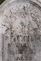 Elizabeth C. Eckel