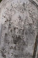 Elizabeth C. Eckel
