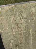 Elizabeth Campion (1894148.jpg)