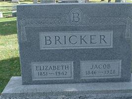 Elizabeth Caroline Brinker Bricker
