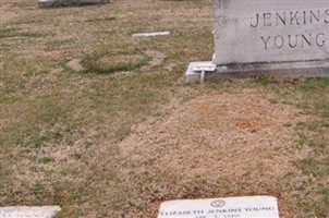 Elizabeth Christine "Libby" Jenkins Young Elizabeth Christine "Libby" Jenkins Young