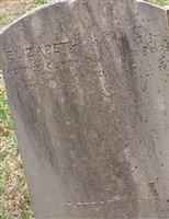 Elizabeth Cline Elizabeth Cline