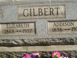 Elizabeth Cook Gilbert