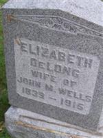 Elizabeth DeLong Wells