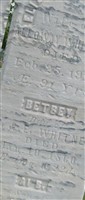 Elizabeth Dewing Whitney Elizabeth Dewing Whitney