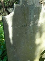 Elizabeth Dow Elizabeth Dow