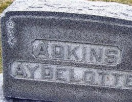 Elizabeth E. Adkins