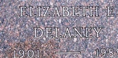 Elizabeth E Delaney