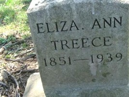 Elizabeth Ann "Eliza" Settlemoir Treece