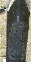 Elizabeth Ella Stanfield Taylor