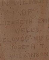 Elizabeth Emily Wells Wilkinson