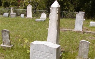 Elizabeth F Darling