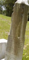 Elizabeth F Darling