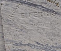 Elizabeth Ferris