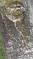 Elizabeth Fitzhugh Elizabeth Fitzhugh