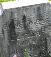 Elizabeth Fitzpatrick Wenom