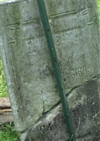 Elizabeth Gibbs