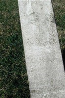 Elizabeth Ginter Elizabeth Ginter