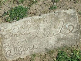 Elizabeth Guile Elizabeth Guile