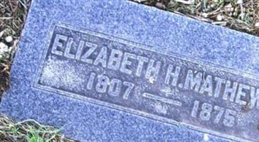 Elizabeth H Mathews