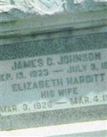 Elizabeth Hargitt Johnson