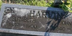 Elizabeth Harvin Elizabeth Harvin