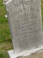 Elizabeth Hauenstein Niess