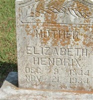 Elizabeth Hendrix