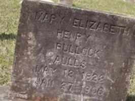 Mary Elizabeth Henry Bullock Aulds