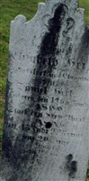 Elizabeth Herb