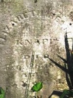 Elizabeth Hester Knapp
