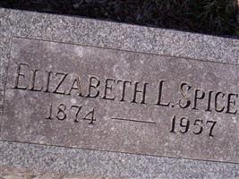 Elizabeth Homberger Spicer