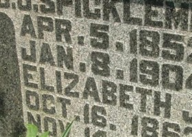 Elizabeth Jane McCaslin Spickelmire